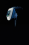 /environment/cache/images/300_250_productGfx_0c11cf4f4c72e46570041515d1c534a8.jpg